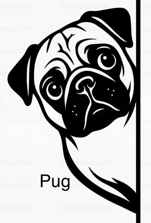 Bathroom dog signs
