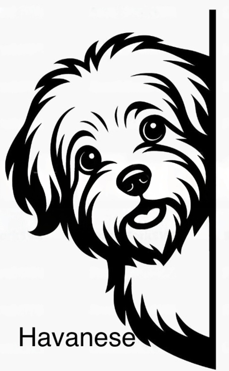 Bathroom dog signs