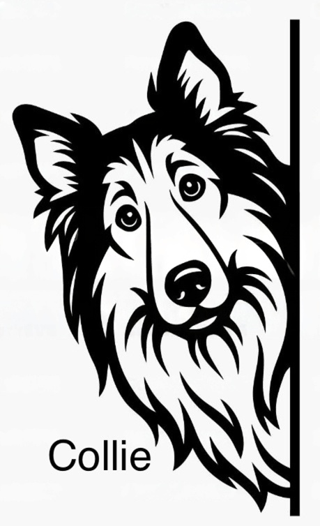 Bathroom dog signs