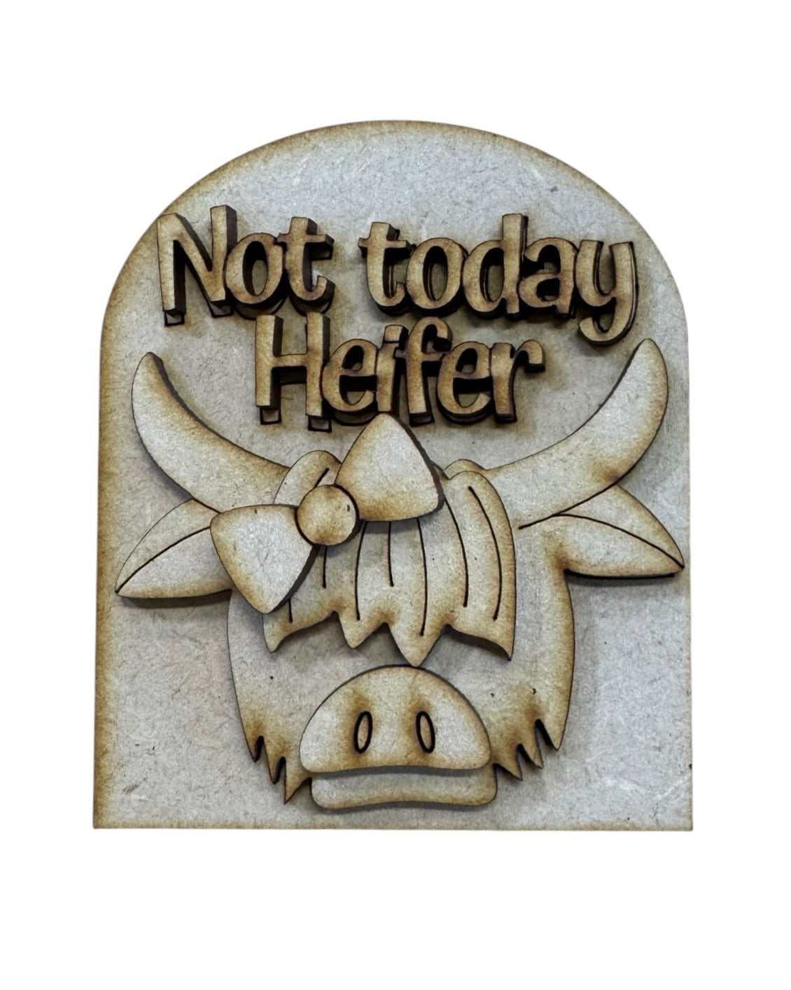 Not Today Heifer Mini Arch DIY Kit