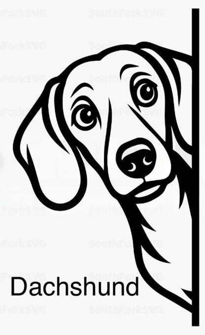Bathroom dog signs
