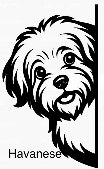 Bathroom dog signs