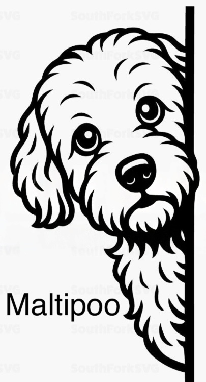 Bathroom dog signs