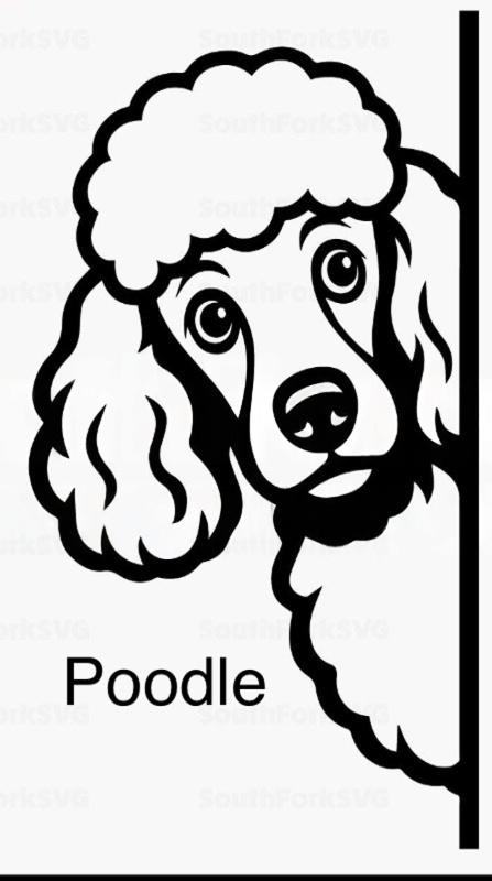 Bathroom dog signs