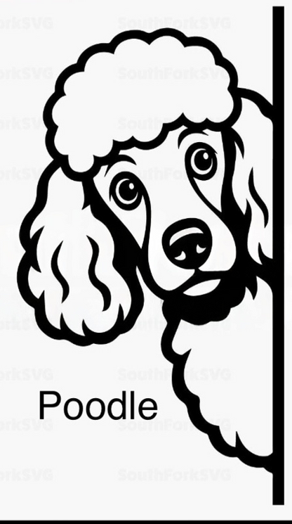 Bathroom dog signs