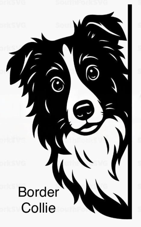 Bathroom dog signs