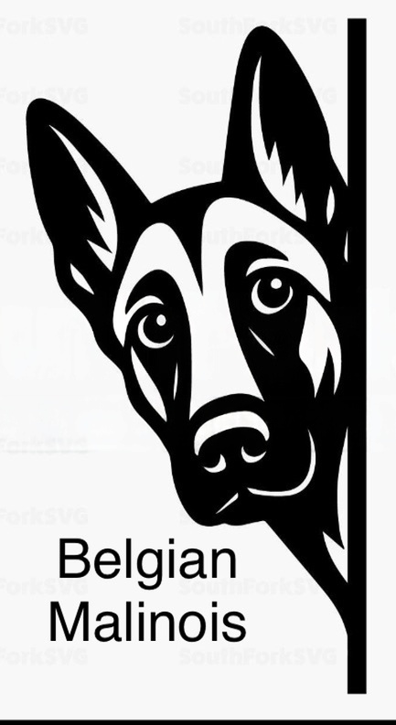 Bathroom dog signs